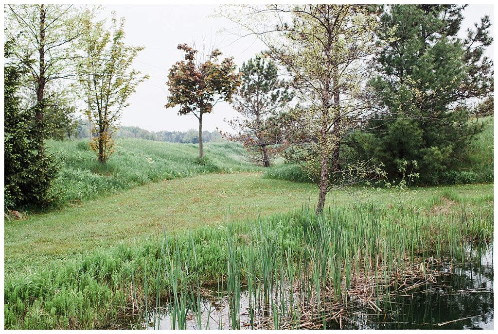 Grassy field on treefarm| Belcroft Estate Wedding| Toronto wedding photographer| Ontario wedding photographer| 3photography