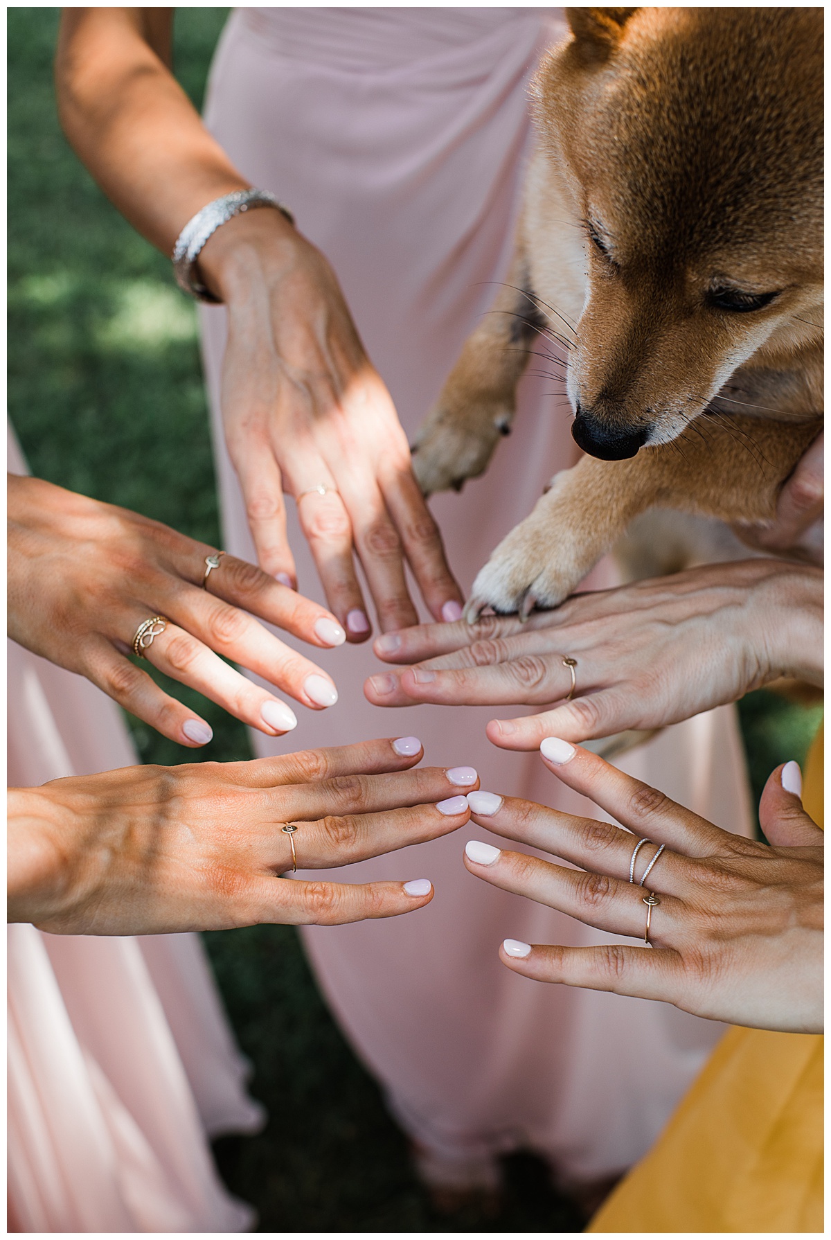 Bridesmaids and dog showing off their manicures| 3photography