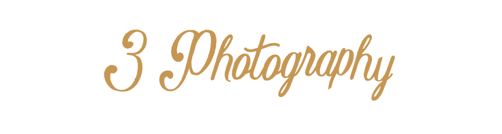 3Photography - Professional Wedding Photographer